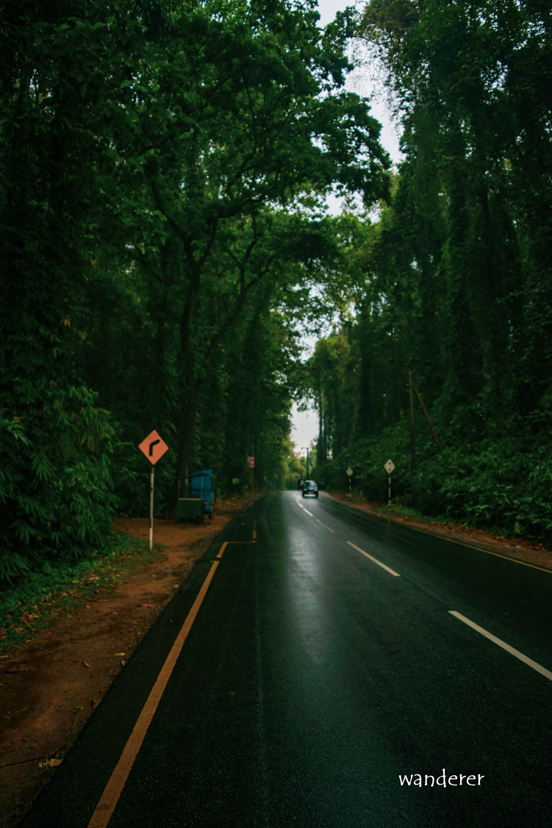 Main Road through Hora forest reserve, Handapangoda