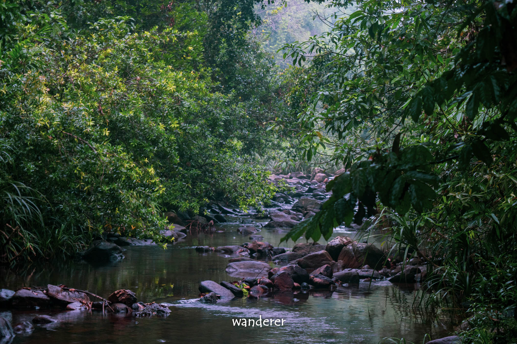 Water stream in Nachchimale